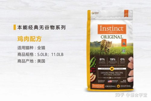 高性價(jià)比貓糧推薦 國內(nèi)（外）頂級品種及平價(jià)寵物食品對比分析